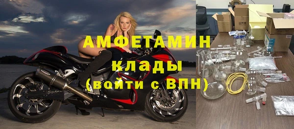 прущие грибы Абинск
